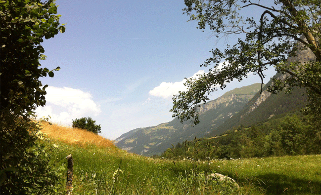 <Natural and scenic photography by Nina Spiess>